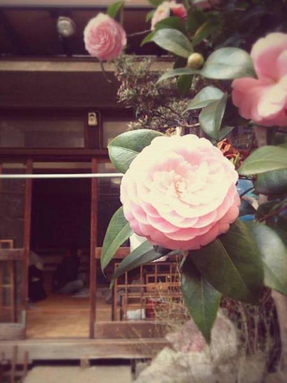Gomaharu Guesthouse 오사카 외부 사진